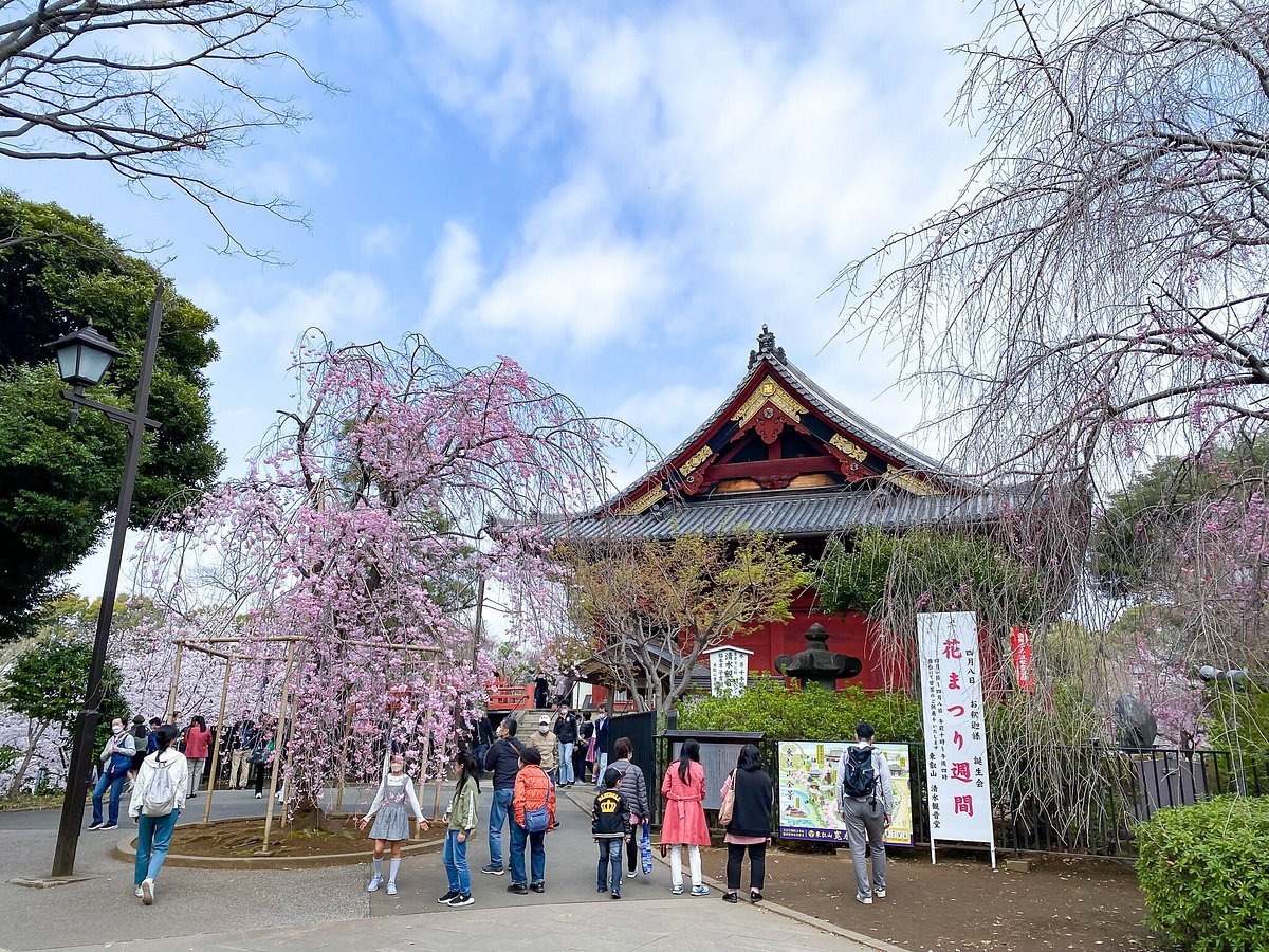 🏯 니혼마쓰 성터(니혼마쓰조아토) 이미지 6